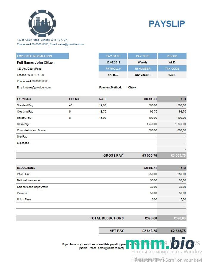 Szablon payslip firmy chemicznej w formatach Excel i PDF
